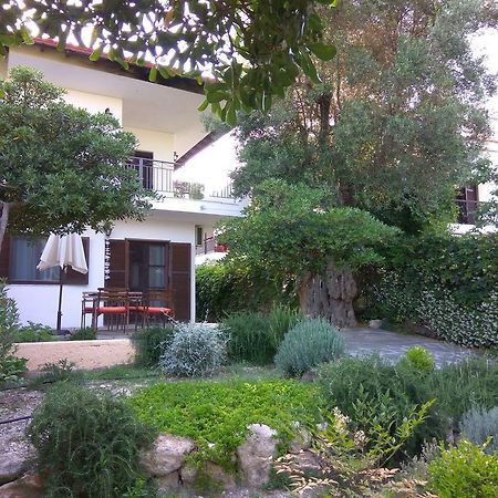 Neria Summer Houses ฮานิโอติ ภายนอก รูปภาพ