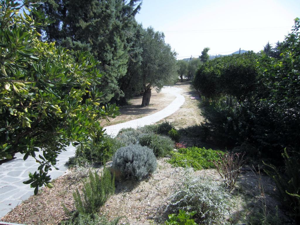 Neria Summer Houses ฮานิโอติ ภายนอก รูปภาพ