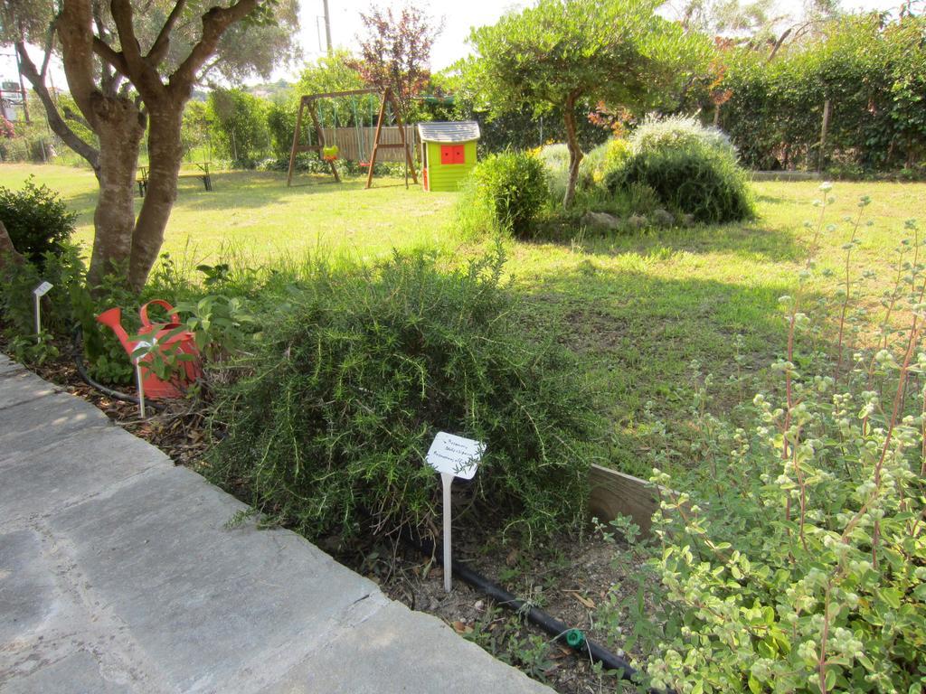 Neria Summer Houses ฮานิโอติ ภายนอก รูปภาพ